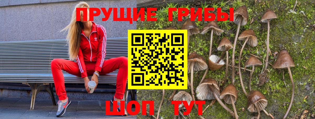 Галлюциногенные грибы MAGIC MUSHROOMS Реутов