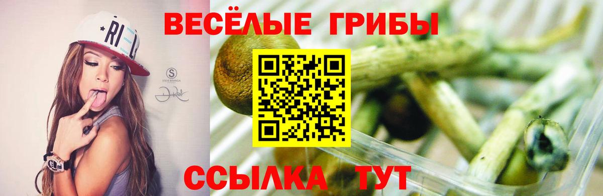 Псилоцибиновые грибы Magic Shrooms  Псилоцибиновые грибы Psilocybine cubensis  Вход с VPN  Реутов 